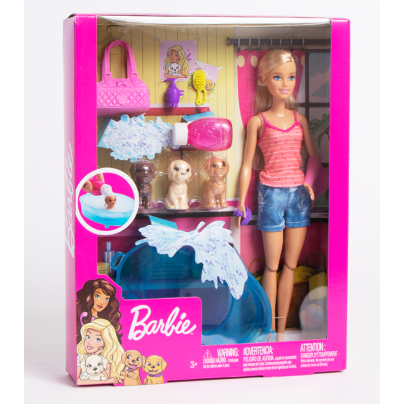 Barbie Doll & Accessories