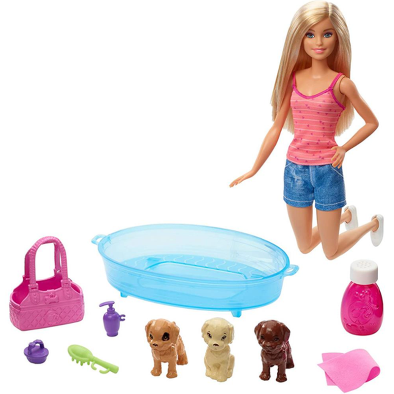 Barbie Doll & Accessories