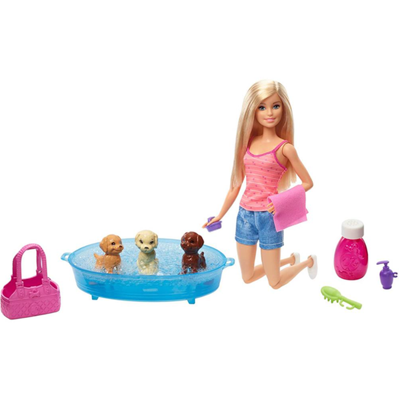 Barbie Doll & Accessories